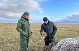 � ������� �������� ��������� ������������ �� ������ ������