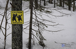 � ������ ������� ��������� �������-�����