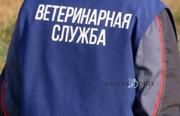 � ����-��� ������� ���������� ����������� ������������ ������� �������