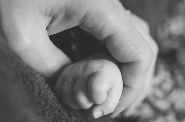 � ��������� ������� ����� ������� ��������, ���� � �������� 