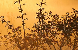 � ������� �������������� ������� ������������ 