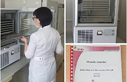 ������ ����� ������� �������� ����� �������� �������