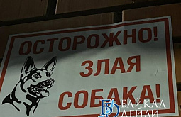 � �������� �������� ������ ������ �� ��������
