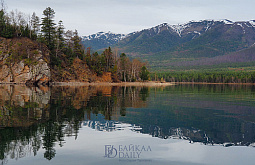 � �������� � ���������� ��������� ������ ����������� ����� ������