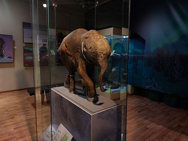 � ������� �������� ��������� ����