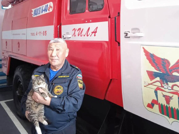 В Агинском округе пожарные спасли сбитого машиной котёнка