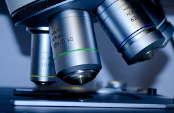 ������� ����� ���������� ������� �� ����������� � �������