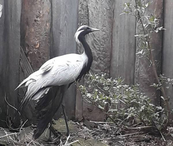 � ������� ��������� ������� �������� �������� 