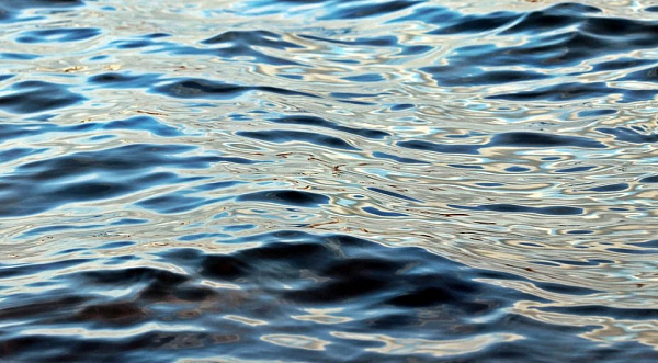 �� ������� ����� ������ ������� ��������� 