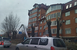 ����-������ ���������� ���������� �� �������-�������