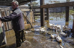 ������ ������� �� �������: �� ���� ������ ��������, �������, ��� ����� 