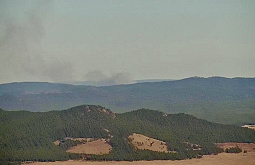 � ������� ������������ ������ �����