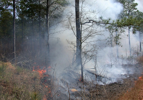 ������ ������� ������ � ���� ������� ������ 