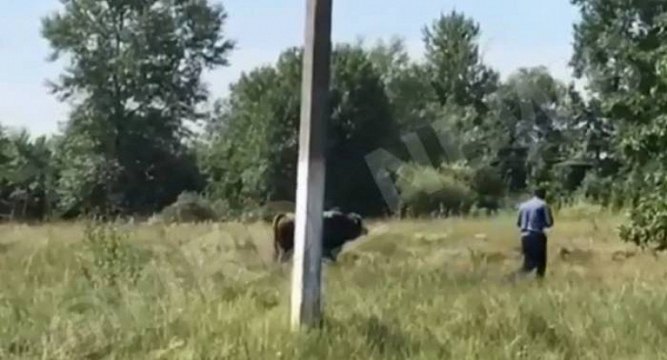 ������� ����������� �������� � ������ ���� ����� �������� �� �������� 