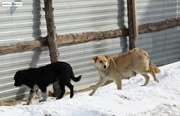 �������� ����� � ������� ����� �� ��������, � ������������� 