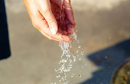 ������� ������� ������� ���������� ������ ����� 