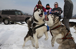 ����� �� �������� �������� ������ � ����-��� (������������)