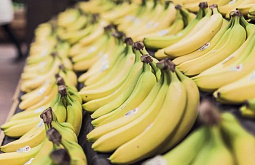 � ������� ��������� ��������� 3% ������ � ������� 