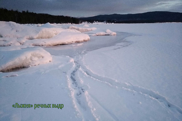 � ������� ������������ ������� ������ ����� ������������� �����������