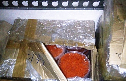 ����� ��������� ������� ����� ����� ����� ���� ��� ����������