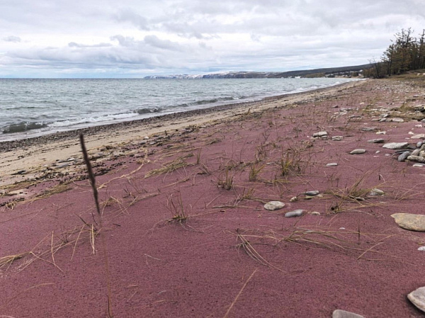 �� ������� ����� ������������ ���������� �����