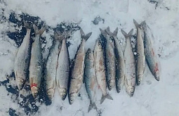 � ������� �������� �������� � ���� ��������� ����