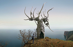 ���� �������� ��������� � ���������� �������