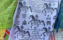 Лама из Бурятии дал неожиданные советы и предостережения на Год Лошади 