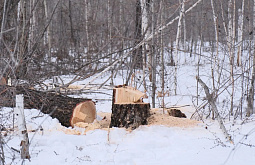 � �������� ��������� �������� ������� � ��������� ����