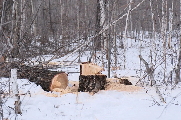 � �������� ��������� �������� ������� � ��������� ����