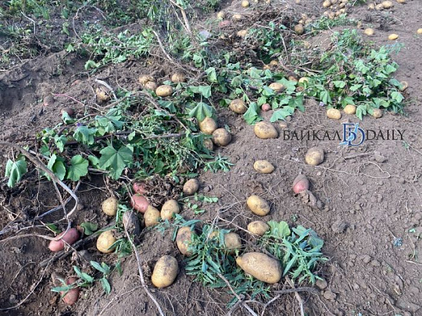 � ����-��� ���������� �� �������� ������ �������� �������� �������� �� ������������ ����