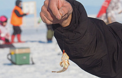 �������� ������� �� ������� ����� ������ ������� �� ���� ������� 