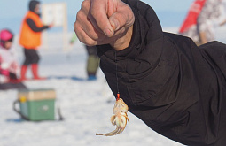 �������� ������� �� ������� ����� ������ ������� �� ���� ������� 