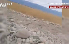 � ���������� ������ ������� ����������� ������ ����� �����