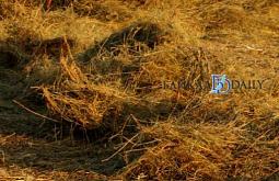 � ������� ����� ��������� 30 ��������� ���� 