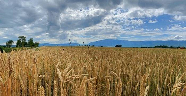 �������� ������� ������ � ����-���� ������ Forbes 