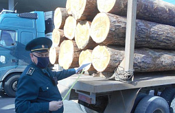 �� ������� ����� �������� ������ �������� ���� 