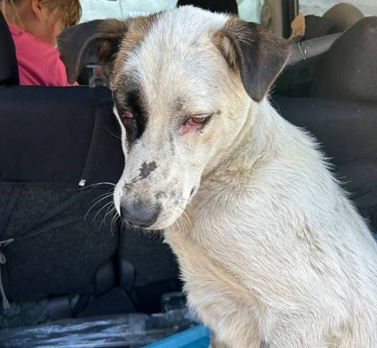 � ����-��� ������� ������ � ������� ����� ������