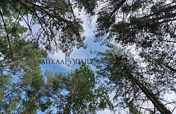 � ������� ������������ ����� 200 ����� �������� ����