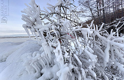 ������� � ���������� ����� ������� ���������������� �����