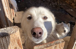 ����� � ����: � ������� ��������, ����� ������� �������� ���� �����