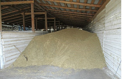 � ������ ���� ��������� ������� �������������� ������ 5 ����� ���� ����� � �����