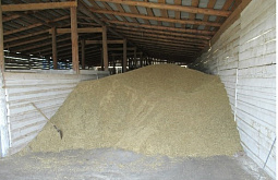 � ������ ���� ��������� ������� �������������� ������ 5 ����� ���� ����� � �����