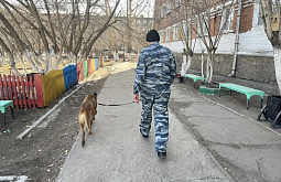 ��������� ����������� �� 10 ���� ������ ����� ����� 4 �� ����������