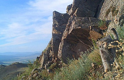 � ������� �������� ������� ���������� �� ����� ������