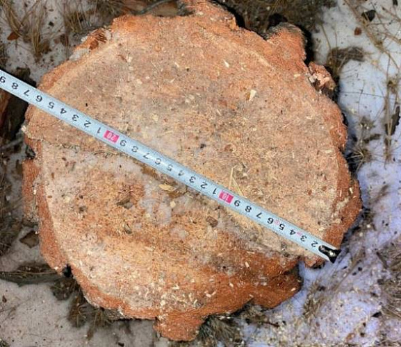 � ������� �� ������ ������� 17 ���������� ����� 