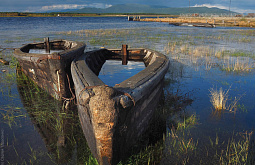 ������ ��������� ������� ������� ������� ���������� �����