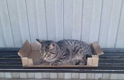 � ����-��� �������� ������� ����������� �� ������ ����� 