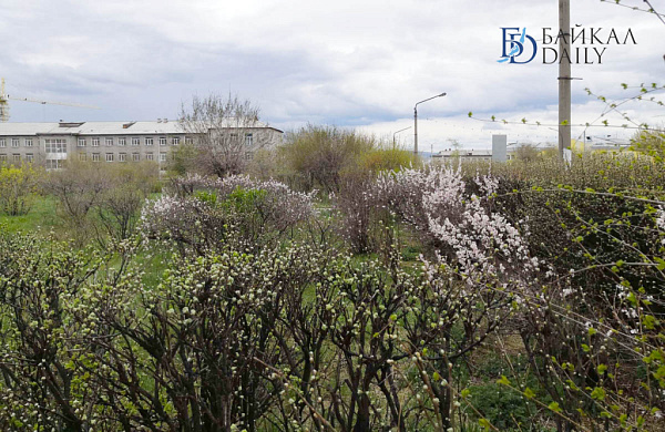 � ������� ������� ���������