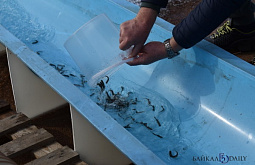 � ������� � ������ ��������� ����� ���� ����� ������ ������� 